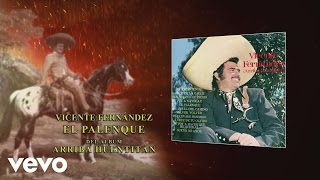 Vicente Fernández  El Palenque Audio [upl. by Hanny]