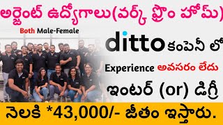 Ditto Company Work From Home Jobs  Jobs In Hyderabad  Parttime Jobs Telugu 2024 workfromhome [upl. by Skricki]