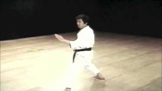 Kata Heian Nidan Kanazawa [upl. by Llenwad702]