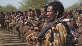 Guerre en Éthiopie  lArmée de libération oromo progresse vers AddisAbeba • FRANCE 24 [upl. by Zora966]