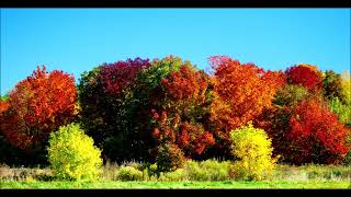 Automne au quebec  Yves Forgues photo [upl. by Ylra285]