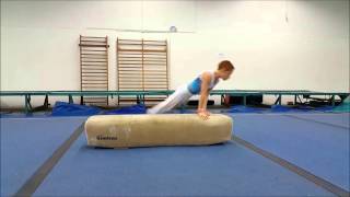 Age Group Programme  Mens Artistic Technical Ability Testing  Pommel Horse  Exercise 24 [upl. by Keare940]