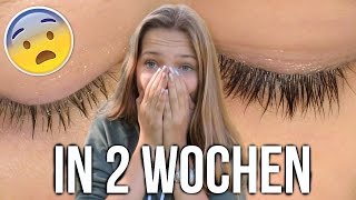 Lange WIMPERN amp AUGENBRAUEN in 2 WOCHEN – unter 2€ [upl. by Nomannic]