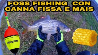 Foss Fishing con canna fissa e mais🌽 [upl. by Hertzog]