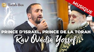 Prince dIsrael Prince de la Torah  Rabbénou Ovadia Yossef [upl. by Hammerskjold312]