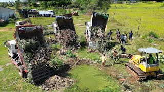 Overloaded Dump Trucks in Action Landfill Project to Fill Swampy Ponds [upl. by Yhtur]