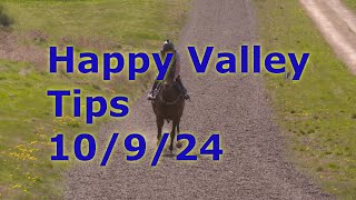 🏇Hong Kong Horse Racing Tips 1092024  Happy Valley [upl. by Rumery]