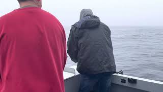 Fishing in Haida Gwaii [upl. by Britta]