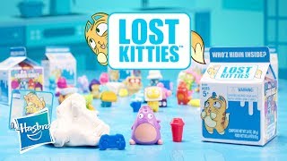 Lost Kitties Turkey  Hasbrodan Yepyeni Lost Kitties [upl. by Yssirc]