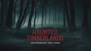 Haunted Timberlands Four Supernatural Forest Stories [upl. by Eenyaj501]