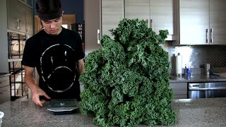 Massive Kale Salad Challenge Morgans back [upl. by Ecraep829]