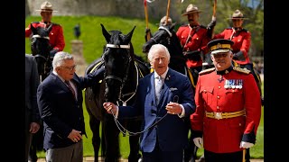 King Charles Gifted Horse as Head of Royal Canadian Mounted Police [upl. by Nodla]