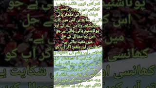 Health benefits of kamarkas  kamarkas benefits in urdu hindi  Amazing health benefits of kamarkas [upl. by Koffler]