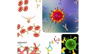 Antigen Antibody Reaction Part II  ODD Blood grouping Compliment Fixation test [upl. by Aneelad]