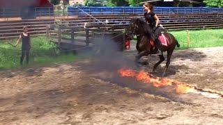 Burg Satzvey  Stuntpferde  Feuerreiten und mehr [upl. by Ellenrad486]