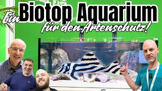 Ein Aquarium im Zeichen des Artenschutzes  Von Biologen geplant von Aquascaper eingerichtet  L46 [upl. by Millham]