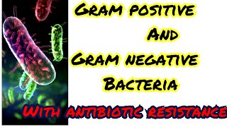 gram positive and gram negative bacteria note acinatobector is not normal skin flora its my mistake [upl. by Hurty]