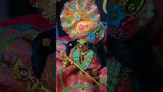 Radhe Radhe gana music song cover love [upl. by Norris596]