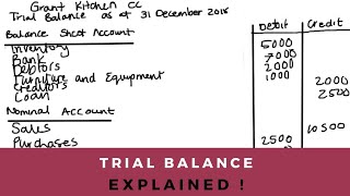 The TRIAL BALANCE Explained Full Example [upl. by Nibroc]