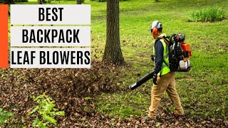 TOP 5 Best Backpack Leaf Blowers 2023 [upl. by Ahsihat]