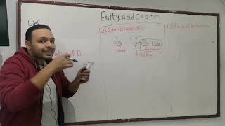 2 Fatty acid Beta Oxidation part 1 [upl. by Ninnahc]