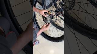 ഇങ്ങനെ ആണ് cassette hub ൽ fit ചെയ്യുന്നത് 🔥🫶💯💥 music asmr cycling mechanic [upl. by Eirrac516]