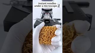 instant noodles under a microscope🍜👀🔬😱 shorts [upl. by Annawad]