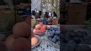 Discover the Best Local Produce in Lyon France france lyon europe farmersmarket [upl. by Ardnuahc433]