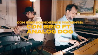 Con Brio ft Viveca Hawkins amp Analog Dog  Like A Feather Nikka Costa [upl. by Hnil]