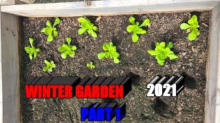 Winter Garden 2021 part 1 [upl. by Yllac]