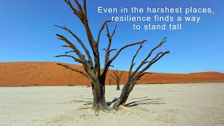 Resilience in the Desert [upl. by Oab]