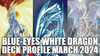 BLUEEYES WHITE DRAGON DECK PROFILE MARCH 2024 YUGIOH [upl. by Yrtsed930]