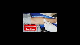 How to give test dose in intradermal intradermal injection Technique intradermal testdose [upl. by Asirahc364]