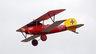 Maxford USA 15 Scale Albatros DVa WWI Fighter RC Model ARF [upl. by Rehpotsirhc]