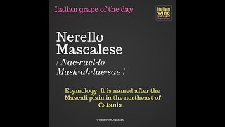 Nerello Mascalese [upl. by Peppie]