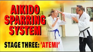 Aikido Sparring System  Stage Three ATEMI  Scaleable for all abilities [upl. by Ettenor]