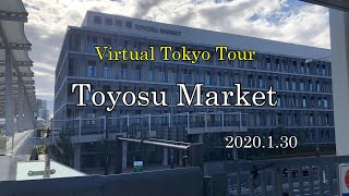 Toyosu Market [upl. by Howes192]