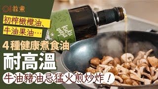 健康食油｜橄欖油可煎炸花生油易致發炎？4款最耐高溫牛油果油第1｜教煮｜食用油｜橄欖油 [upl. by Mera]