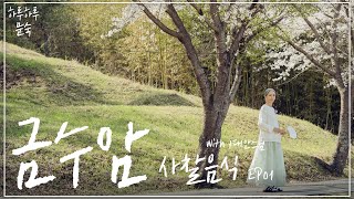 하루하루문숙 금수암 EP01 사찰음식의 대가🌿 대안스님께 지혜를 듣다 l 음식과 건강에 대한 고찰 [upl. by Nasaj517]