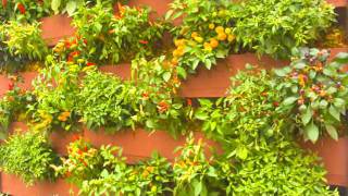 Como montar seu jardim vertical com GreenWall Ceramic n02 [upl. by Reinnej]