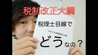 【速報】令和6年度（2024年度）税制税制改正大綱を税理士目線で解説 [upl. by Rednael]