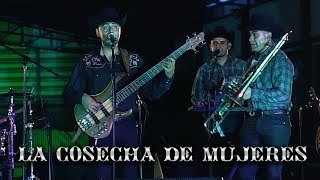 Cuarto De Milla  La Cosecha De Mujeres En Vivo [upl. by Neeoma]