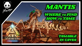 Where to Find And How To Tame The Mantis  SEs Jack Of All Trades  ARK Survival Ascended [upl. by Aicnelav]