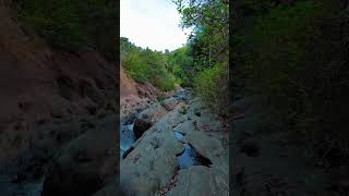 Exploring the Attanagalu Oya  A Vital River in Sri Lanka 🌊  nature srilanka rivers [upl. by Hebel]