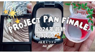 16【使い切りコスメプロジェクト 2024フィナーレ！🍂🎄】めっちゃ減るキャンメイクのクリームチーク nobuy 今年買ったコスメの数と総額は？💰 底見えコスメ [upl. by Brien]