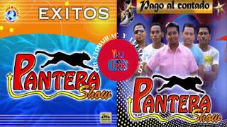 GRUPO PANTERA SHOW  CORRIDOS  MIX  2021 [upl. by Culbert]