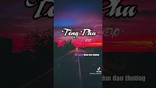 Tòng Phu  Karaoke Tone Nam [upl. by Ydniahs]