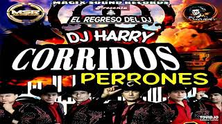 Corridos Mix [upl. by Cassy161]