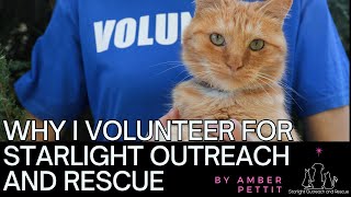 Starlight Outreach and Rescue Volunteer Testimonial  Amber Pettit [upl. by Nadya]