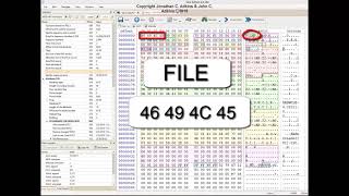 The Master File Table Lecture Video Part 1 [upl. by Eibloc84]